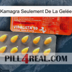 Kamagra Seulement De La Gelée new01